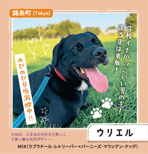 錦糸町 ウリエル