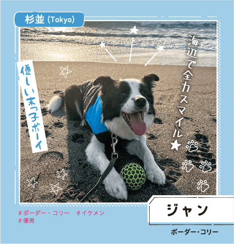 杉並 ジャン