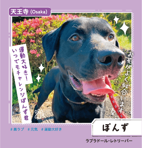 天王寺 ぽんず