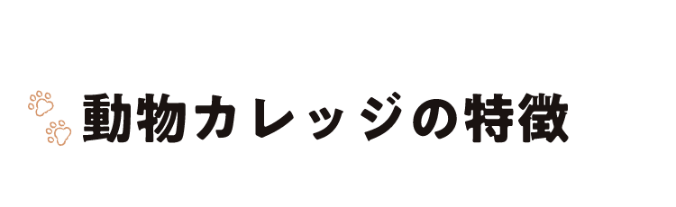 動物カレッジの特徴