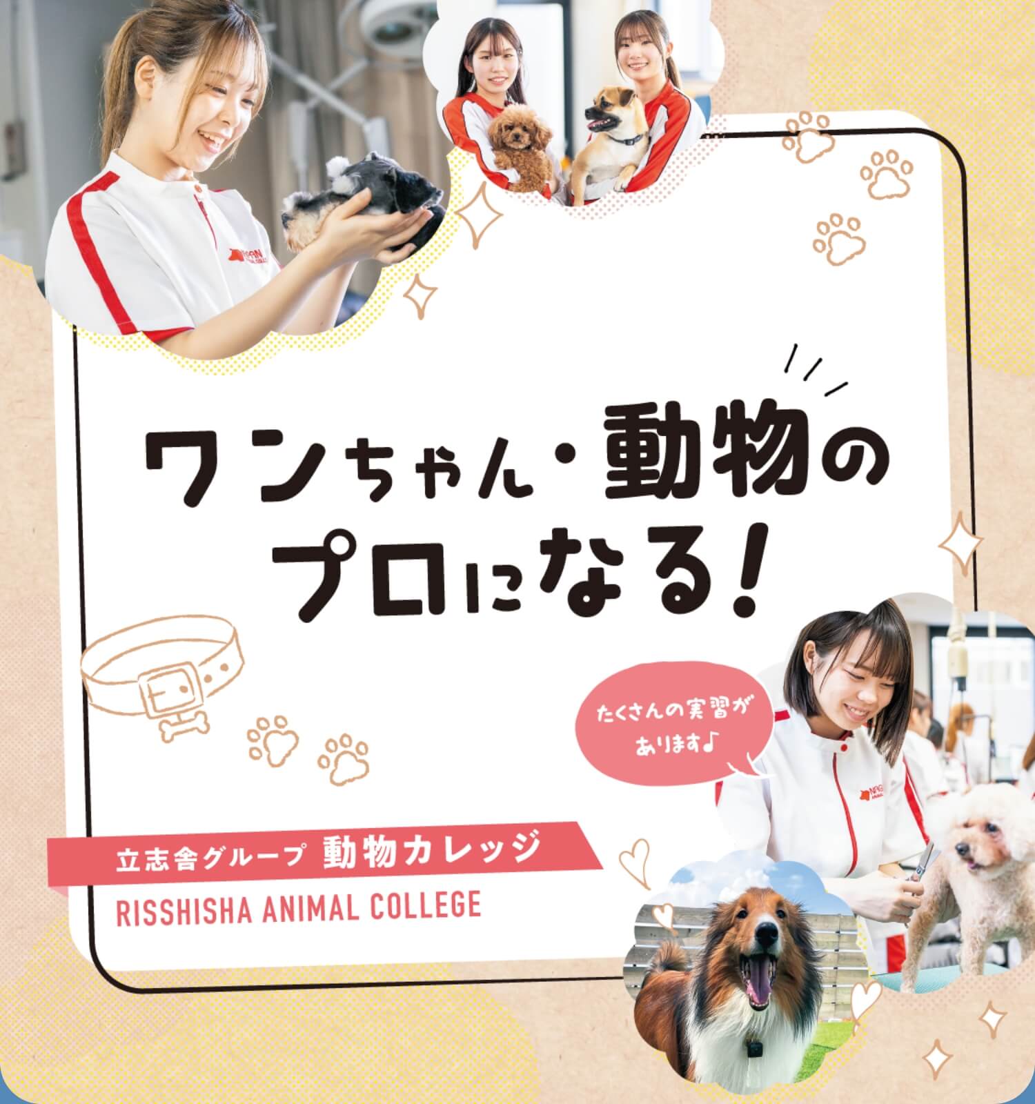 ワンちゃん・動物のプロになる
